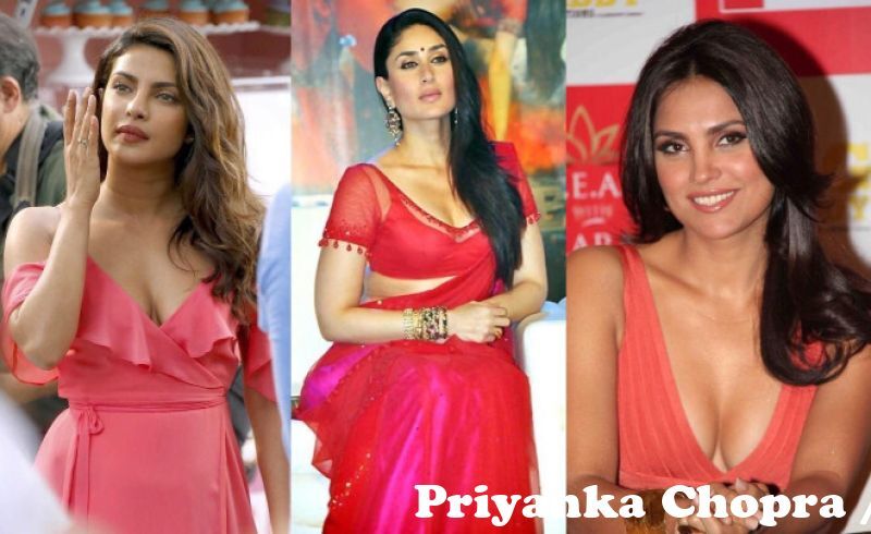 Priyanka chopra actress - xxx pics